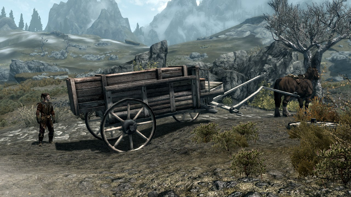 Скриншот из игры TES Skyrim первая встреча с Цицероном. (ист. https://clck.ru/UBRSE)