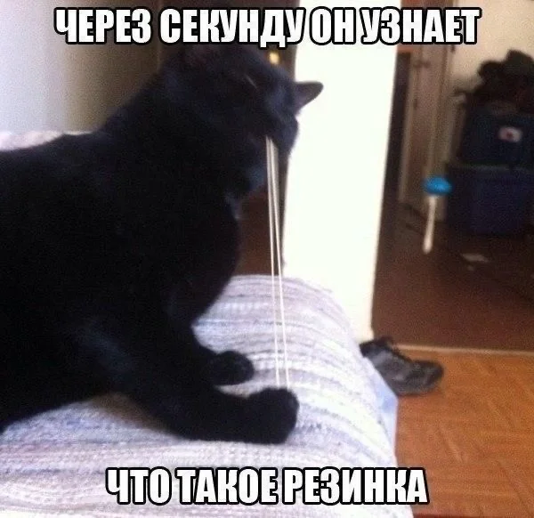 Фото взято из открытых источников 