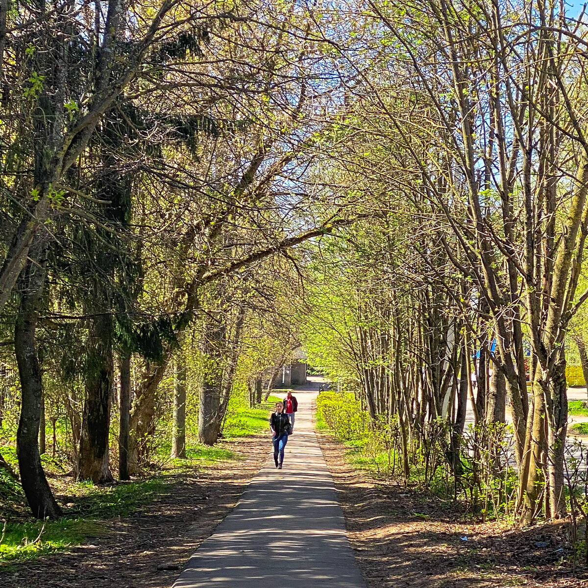 Уютные улочки Кашина