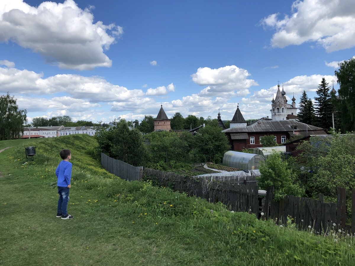 Вид с горы на древний ансамбль города (фото автора)