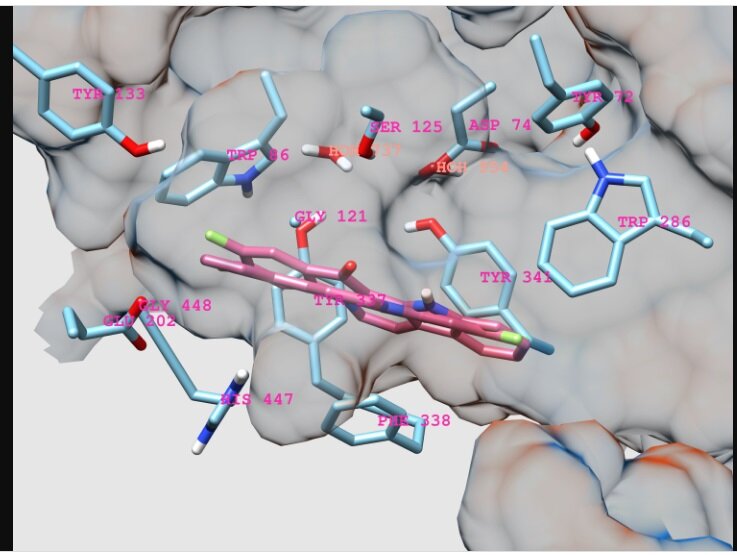                           Изображение взято из открытых источников.   