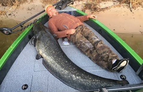 Снасти для ловли сома в сентябре на бортовую удочку