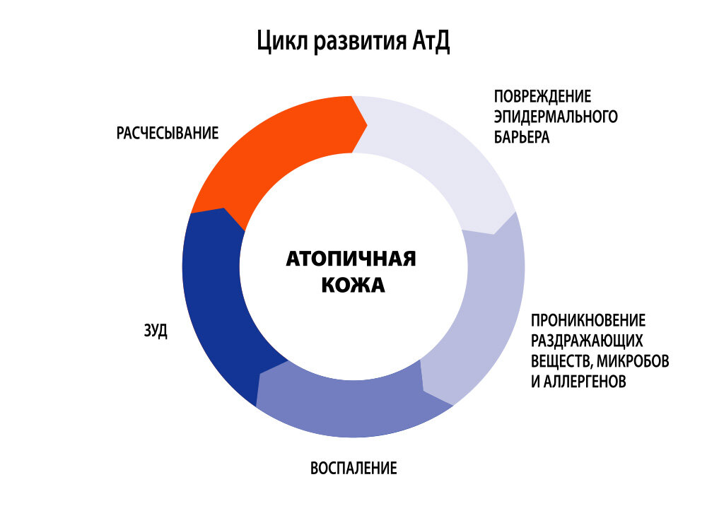 Цикл "Зуд-Расчесывание"