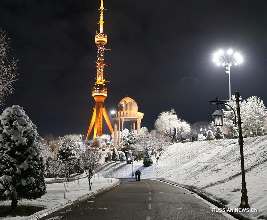 Ташкентской зимой 1995 года мои родители продали нашу квартиру и вернулись в Россию навсегда. 
