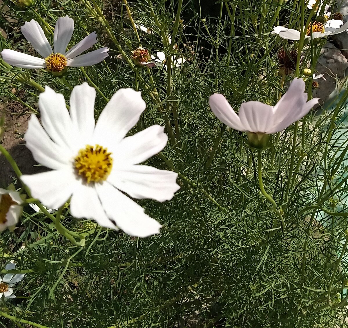 фото автора канала.