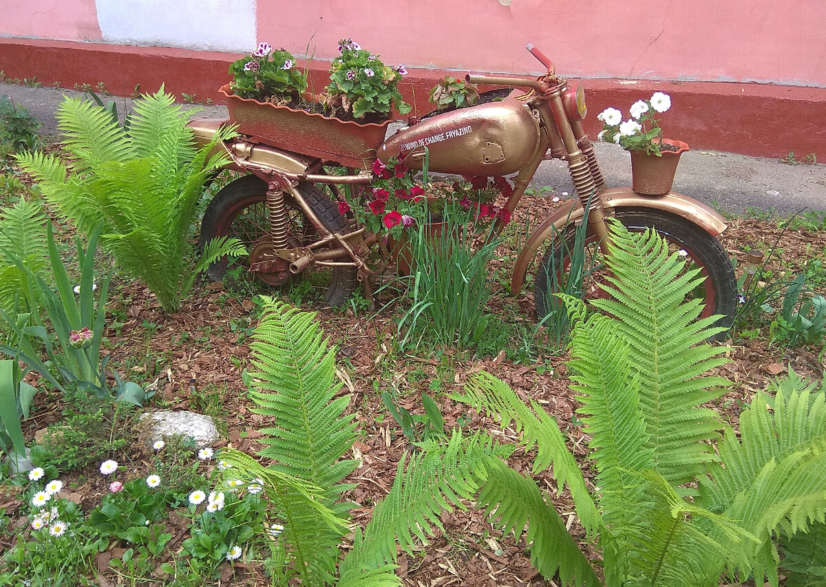 фото из личного архива