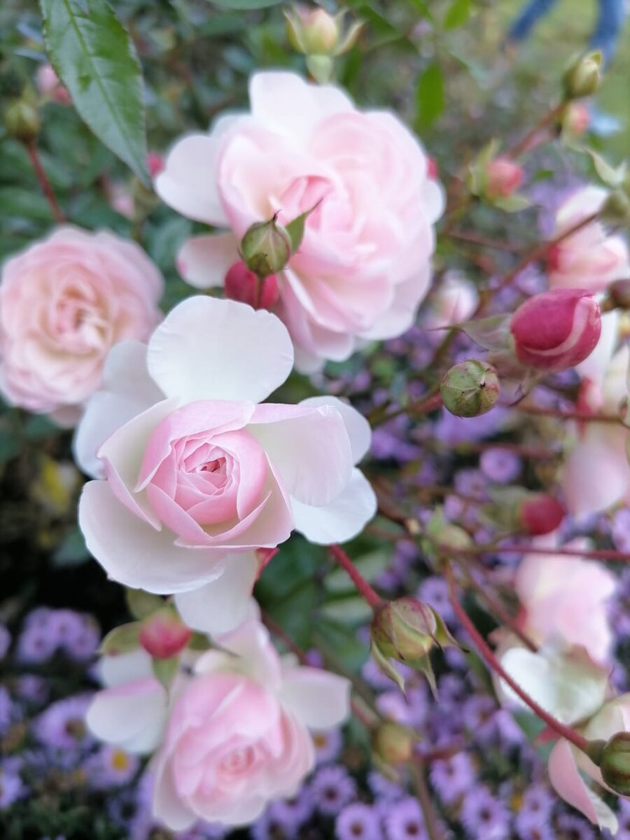  Главное – достичь гармонии. Фото Ирины Синяковой