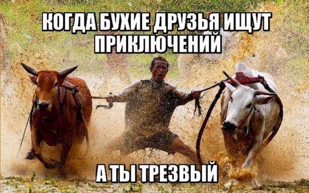 Из открытых источников сети интернет