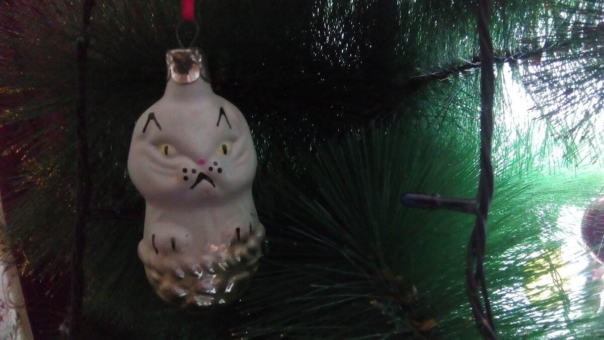 Кот. Не просто, а волшебный. Новогодний