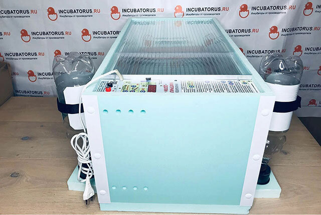Инкубатор Матрица ВЕГАС