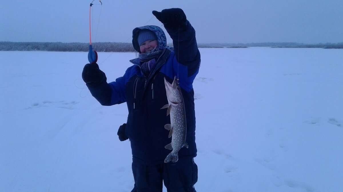 Ловить страницу. Кот рыбак. Ловить страницу. Девушка с удочкой. Ловля нахлыст.