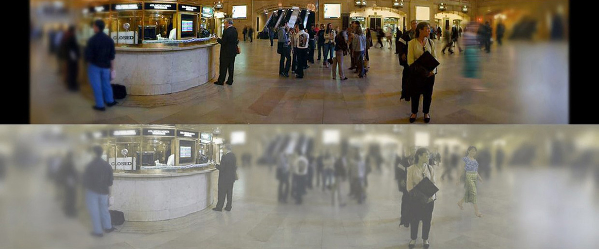 Сверху представлено изображение глазами человека, снизу - кошки.