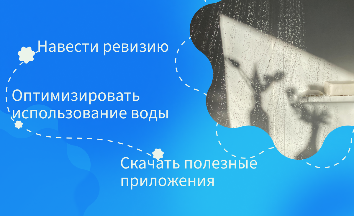 экосоветы