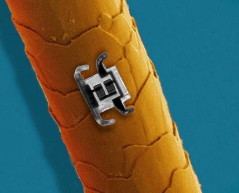 Микроробот, сравнение размеров с человеческим волосом.