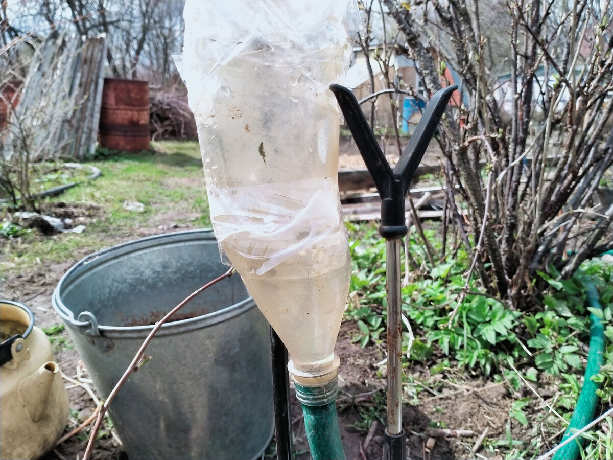 Бутылка №2. В нее наливаем воду