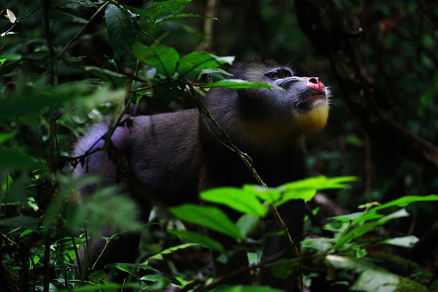 © Francisco Mingorance / Fine Art Photography Awards