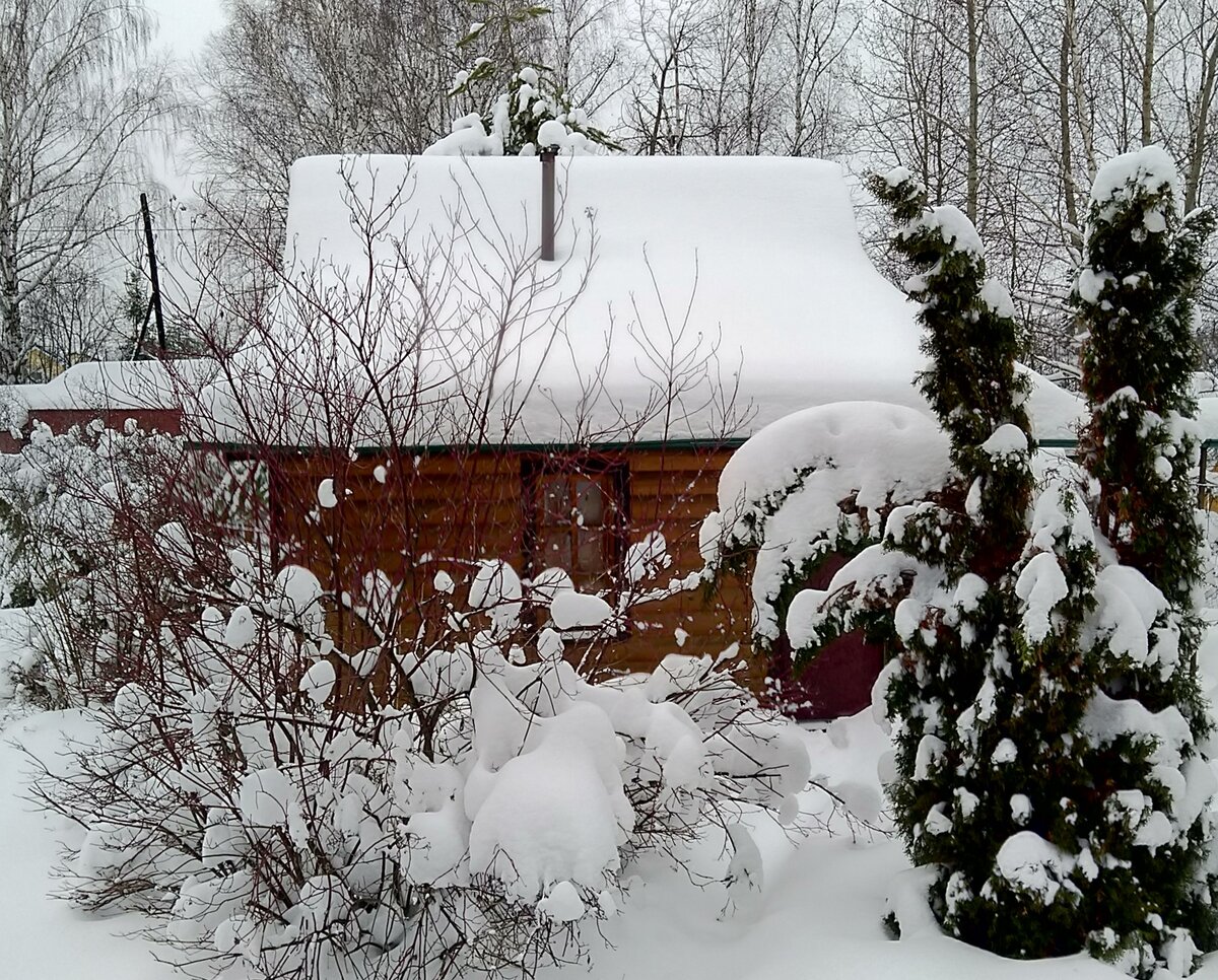 Вот так сказочно смотрелась моя баня снежной зимой 2021-2022 годов!