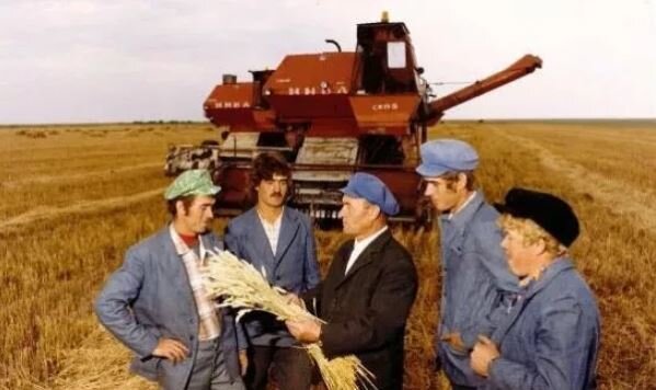 Колхозники СССР, и, кстати, комбайн на заднем плане полностью советский, а не китайский (иллюстрация из открытых источников)
