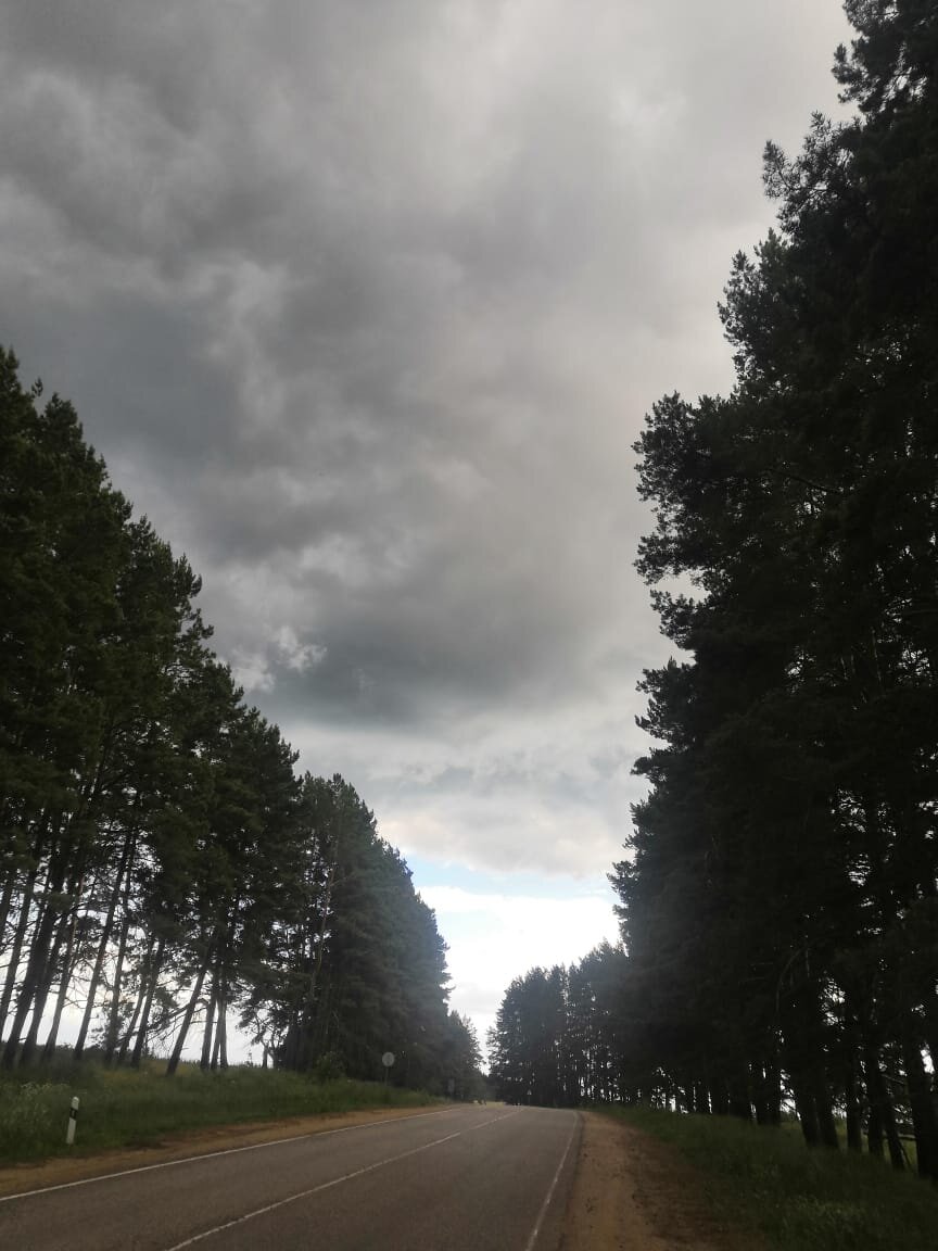 Фото автора.