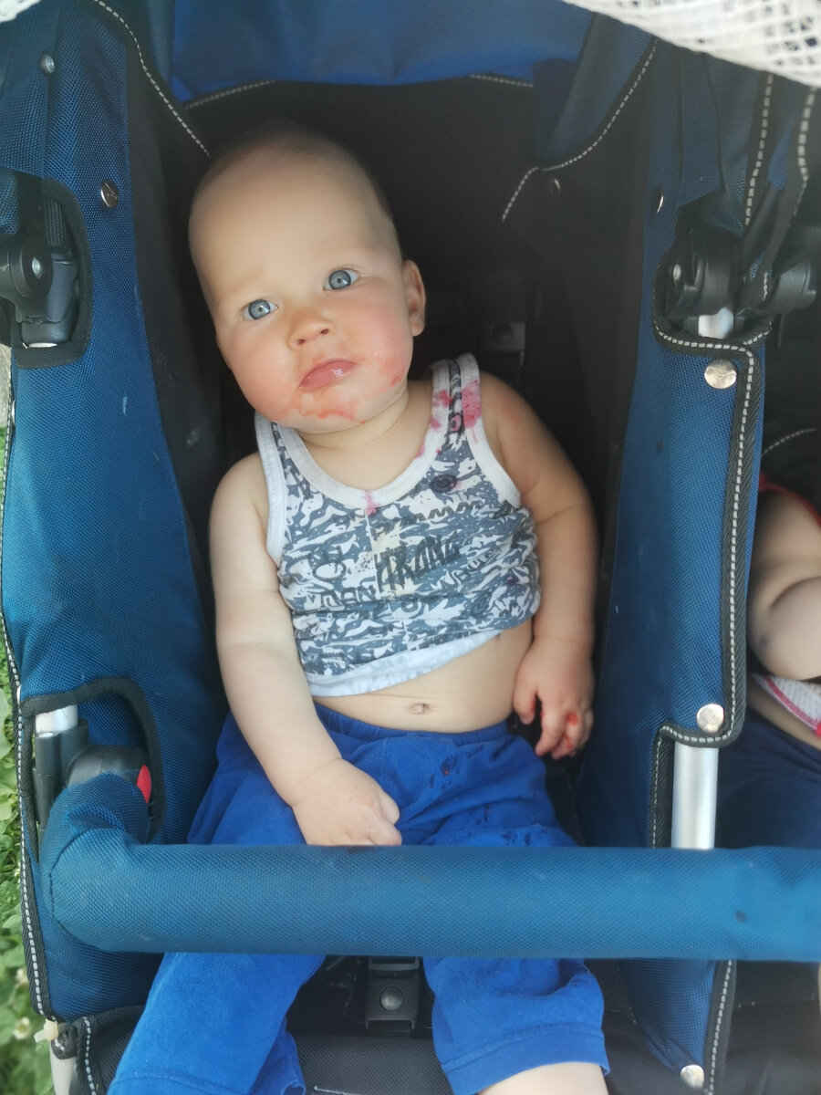 Паша наелся клубники