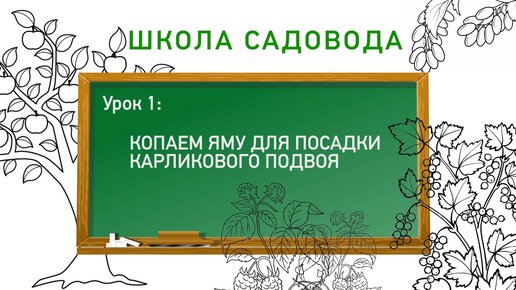 Как подготовить посадочную яму? Школа садовода. Урок 1