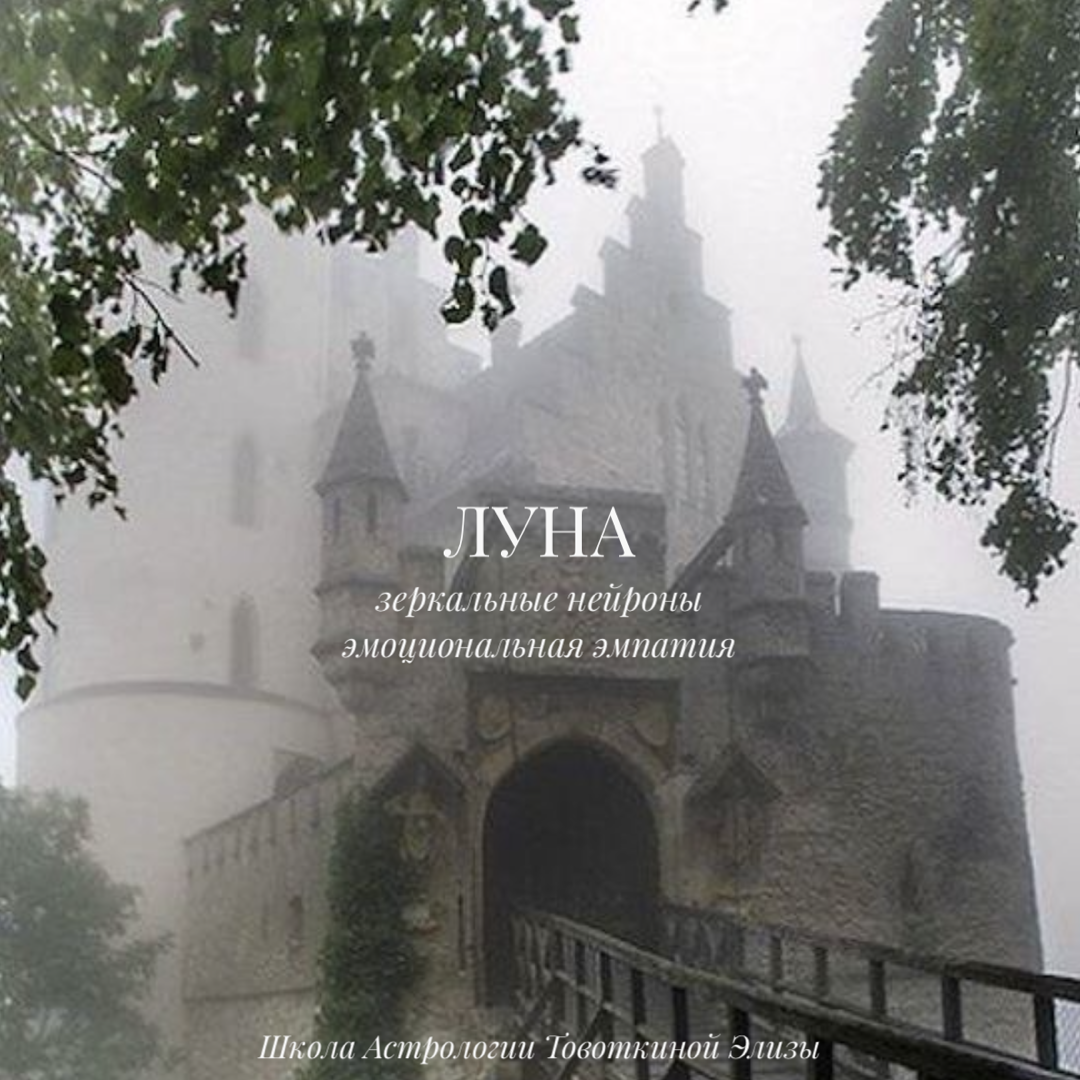 Еще недавно, в конце 20го века, Джакомо Риззолатти сделал важнейшее открытие в нейрофизиологии – зеркальные нейроны (далее буду сокращать З.Н), которые объяснили важнейшие процессы в биологии поведения человека и других живых существ. 

После небольшой научной справки я расскажу зачем Вы читаете это занудство. 😄💐

Ключевая физическая функция З.Н. – отражение, т.е. именно благодаря им в младенчестве, мы учимся пользоваться телом, дублируя действия взрослых и реагировать на стимулы внешней среды тем или иным образом. Любой процесс развития связан именно с этой зоной мозга. По сути, это и есть наша способность подражать и имитировать, что всегда сигнифицирует о глубоком контакте с внешним объектом, включении его в себя. 

Психологическая функция – эмоциональная эмпатия. Механизм аналогичный – мы переносим чужие переживания внутрь себя и проживаем это. Попробуйте не улыбнуться в ответ заливному смеху или, попав в поле разгневанного человека, сохранить полный дзен. Это под силу только клиническому психопату или аутисту (оба заболевания связаны с проблемой З.Н., хотя имеют разные отклонения). Тот самый эмоциональный интеллект связан с З.Н. Благодаря зеркальному мозгу мы способны строить модели психологии других людей, чувствовать чужие потребности и предсказывать чужое поведение. 

В природе вы это отметите в синхронном движении стаи или, например, в хоровом пении цикад, а также невербальной передаче навыков. 

У всех этих феноменов одна природа – биологическая сонастройка организмов в целях безопасности вида. 
Подозреваю, что материнское чутье – ничто иное как зеркальная часть мозга. 

У женщин эта зона обоснованно выделеннее, чем у мужчин (поэтому первым стоит с пониманием отнестись ко вторым. Они не бесчувственные, у них З.Н. меньше). 

Искушенный астрологией читатель может отметить, что это удивительным образом вписывается в функционал Луны. В общем – то не просто вписывается, а научно подтверждает корреляцию между всеми Лунными функциями: рост, развитие, понимание, эмпатия, эмоциональный интеллект, безопасность, подстройка, имитация, подражание, отражение и даже ассоциация Луны с женским началом. 
 
Что интересно, процесс это не только входящий, но и исходящий. Если у человека случилась спайка внешнего объекта с прошлым опытом, то скорее всего, он спроецирует прошлые ассоциации на текущую ситуацию. Все эти «триггеры», неадекватные реакции, ложные проекции – тоже проделка З.Н., что в астрологии связано с проблемами Луны. 
 
Ключевая идея в этой концепции – сильное влияние среды на поведение. По этой причине стандартная рекомендация психологов в воспитании детей – воспитывать себя. Зеркальные нейроны не обманешь. К примеру, если вы пьете колу и говорите, что это вредно, то мозг ребенка запишет поведение, а не слова. 

Как компенсировать нервную Луну ребенка? Угадайте с одного раза. Как научиться адекватно понимать психологию других людей? Научиться понимать свои эмоции. Как изменить привычки? Как вариант, поменять среду и окружение на те, в которых Вы будете невольно копировать новый опыт. Как перестроиться с грусти на радость? Выключите шансон, встретьтесь с Близнецами и Стрельцами, Раков и Козерогов избегайте. (Шутка😄).
 
Кстати, для астро философов может оказаться интересным через эту призму, по-новому взглянуть на знак зодиака Рак. О чем напишу далее.
