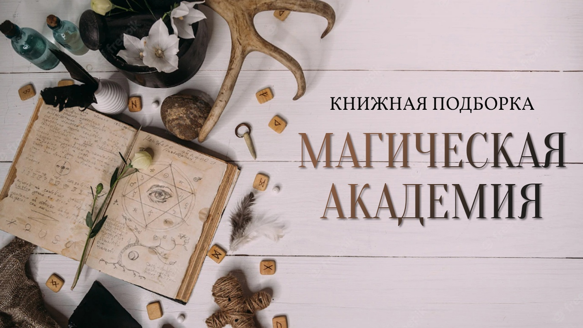 Ветер академия. Ветер академия. Ветер академия. Академия ветра. Академия оборотней тёмный орден читать онлайн бесплатно анна гер.