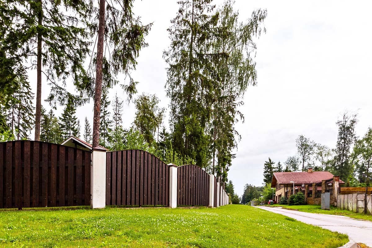 Яндекс-картинки. 