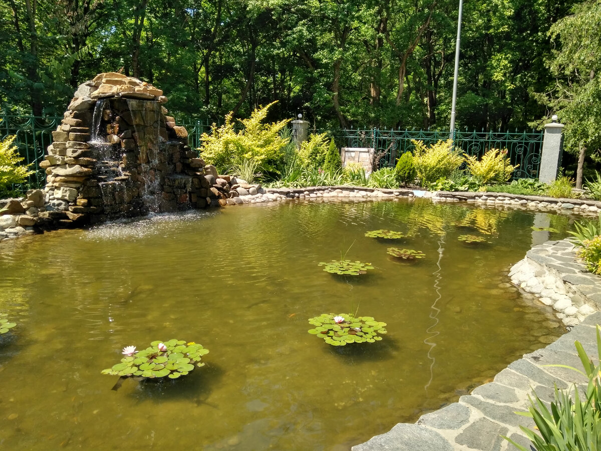 Ессентуки, курортный парк (июнь 2019 года)