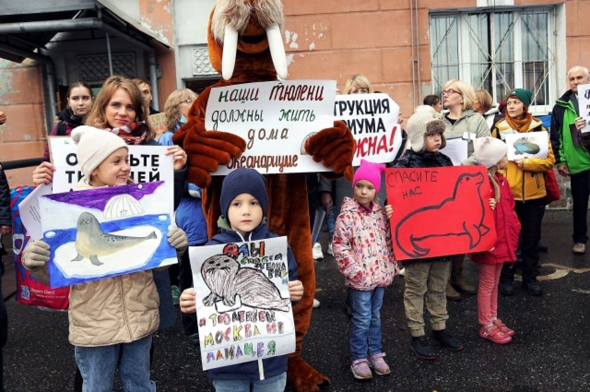    В Мурманске прошёл митинг в поддержку океанариума