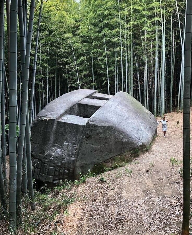 фото из свободных источников