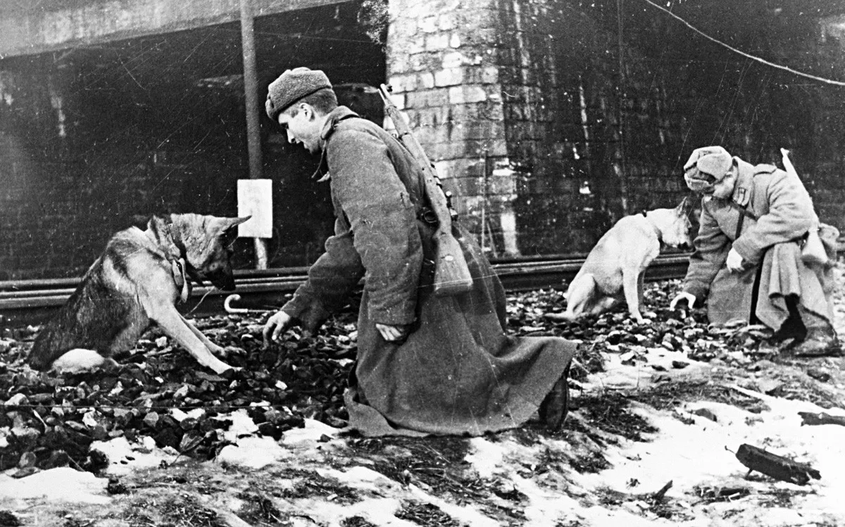 Советские саперы с собаками. Время съемки: февраль 1945 г