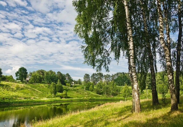 Фото из свободных источников