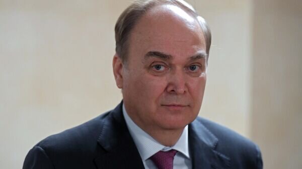   © Sputnik / Илья Питалев