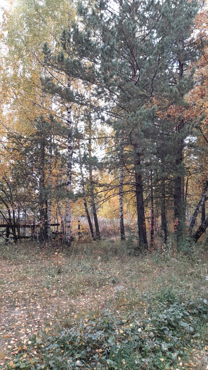 "Доброе утро, мир! Ты прекрасен" фото автора