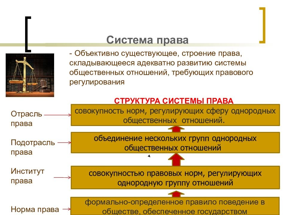 Правоведение для чайников — 29 // Все отрасли права: краткий обзор