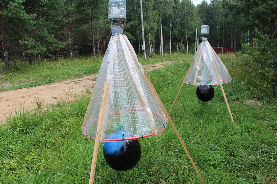 Фото с сайта http://www.dybles.ru/informaciya/poleznye-sovety-dachnikam/borba-s-vreditelyami/