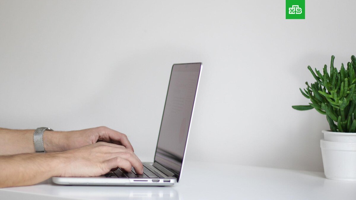    Фото: NordWood Themes / unsplash.com