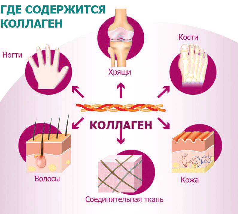 Коллаген польза и вред здоровью