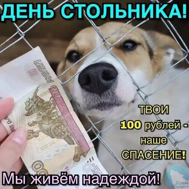 Из открытого источника