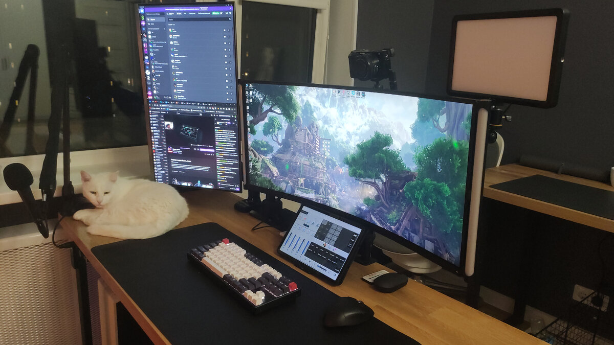 Котэ на месте :)