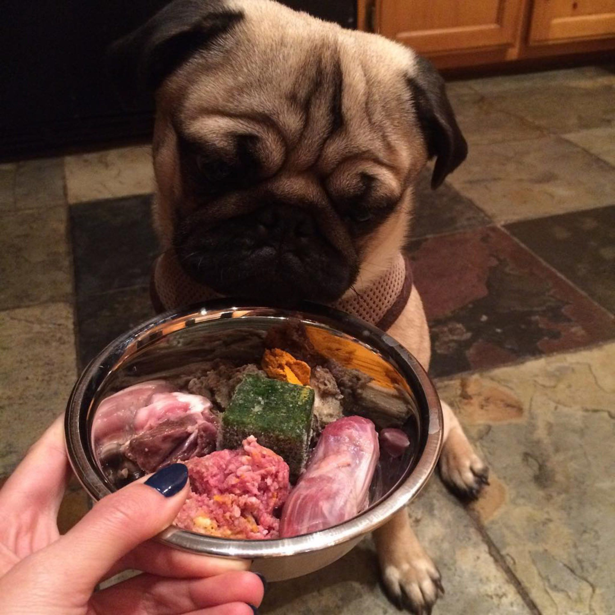 Источник Яндекс картинки