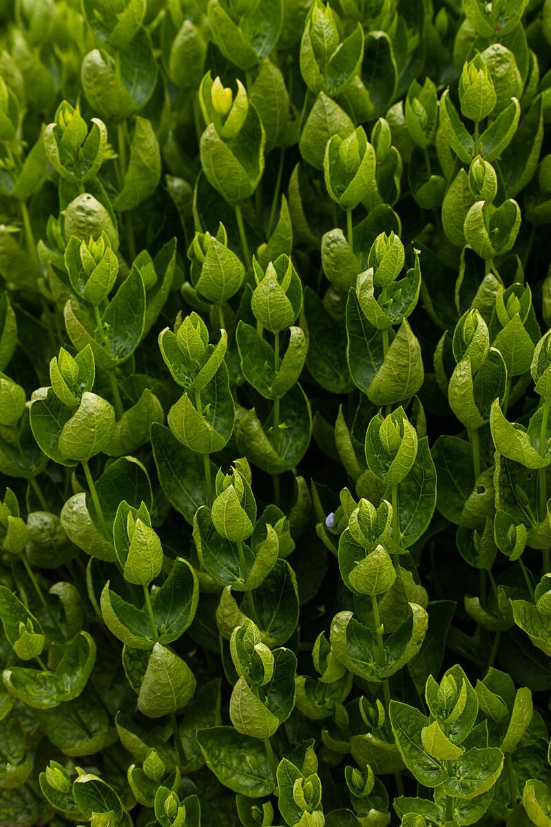 Источник: pexels.com