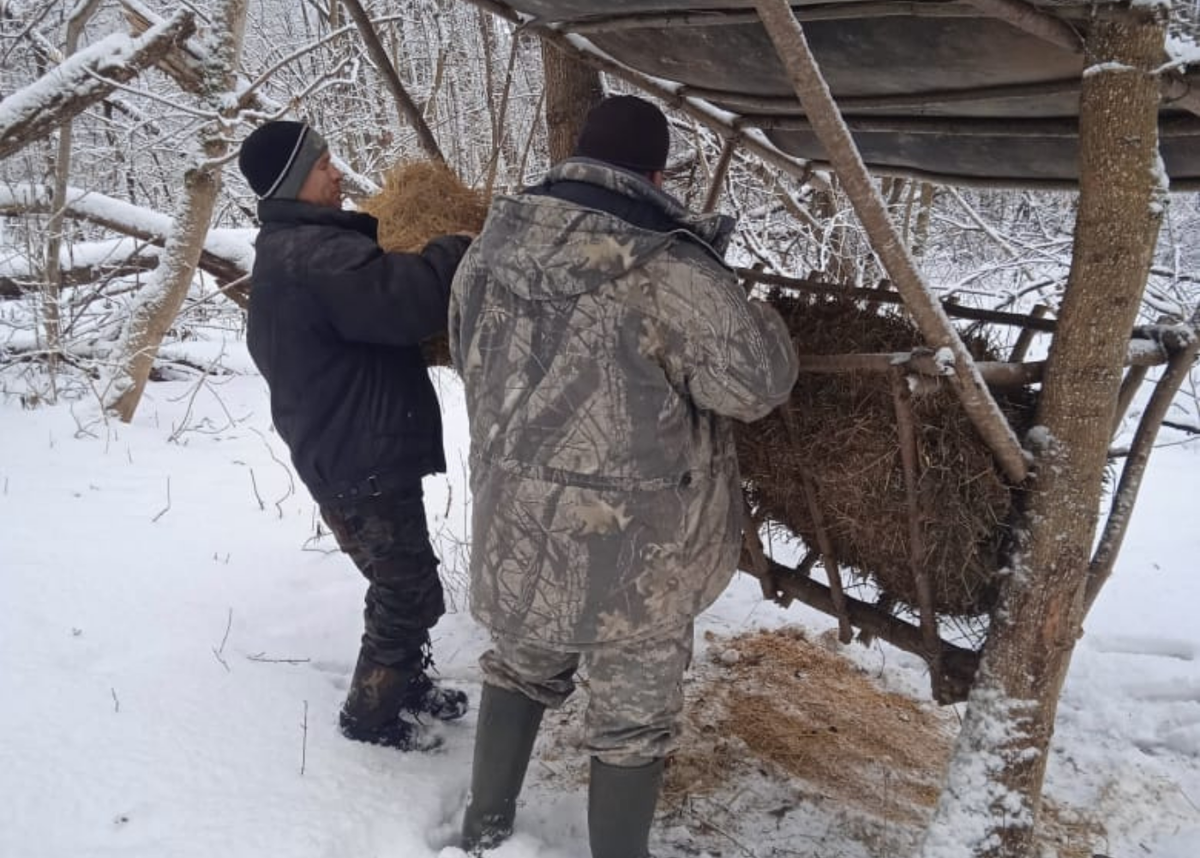Мужчины подкармливают диких животных - отличное доброе дело!  Фотосток  Яндекс, обработано в Канва.