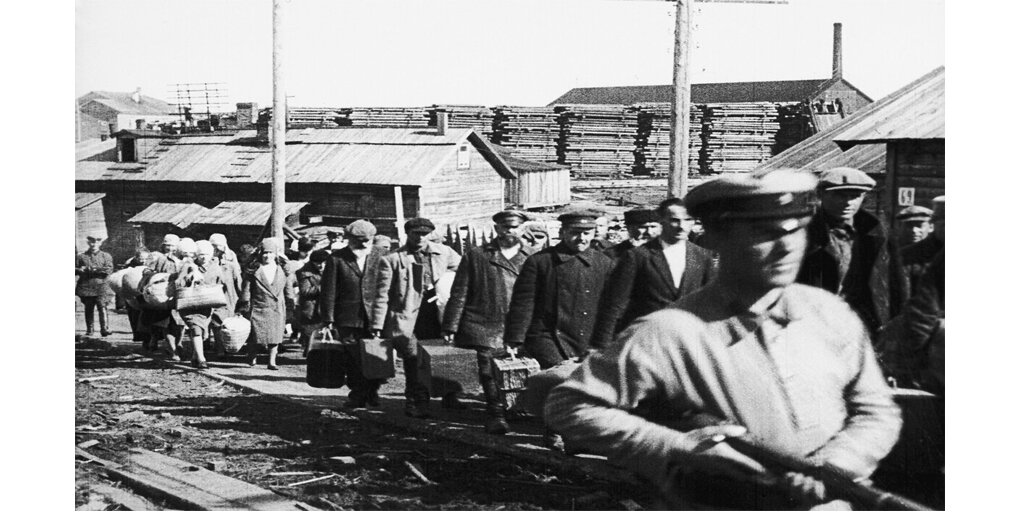 Фото из свободного доступа