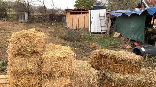 #52 Вспахали огород на зиму. Варим компот из фейхоа. Переезд на юг.