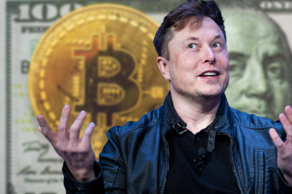 Elon Musk Bitcoin. Elon Musk Crypto. Илон Маск BTC. Илон Маск и ФЛОКИ.