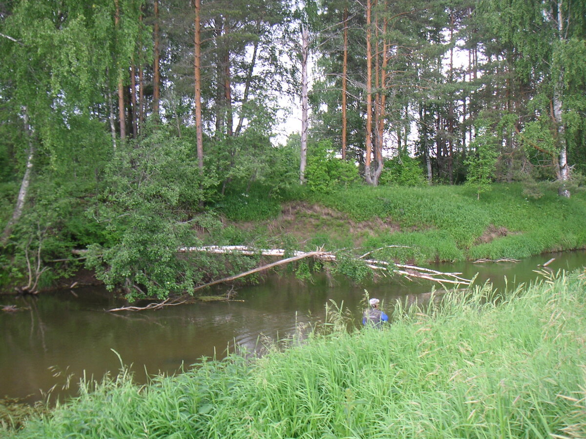 Все фото из нашего личного архива, сделанные в разное время