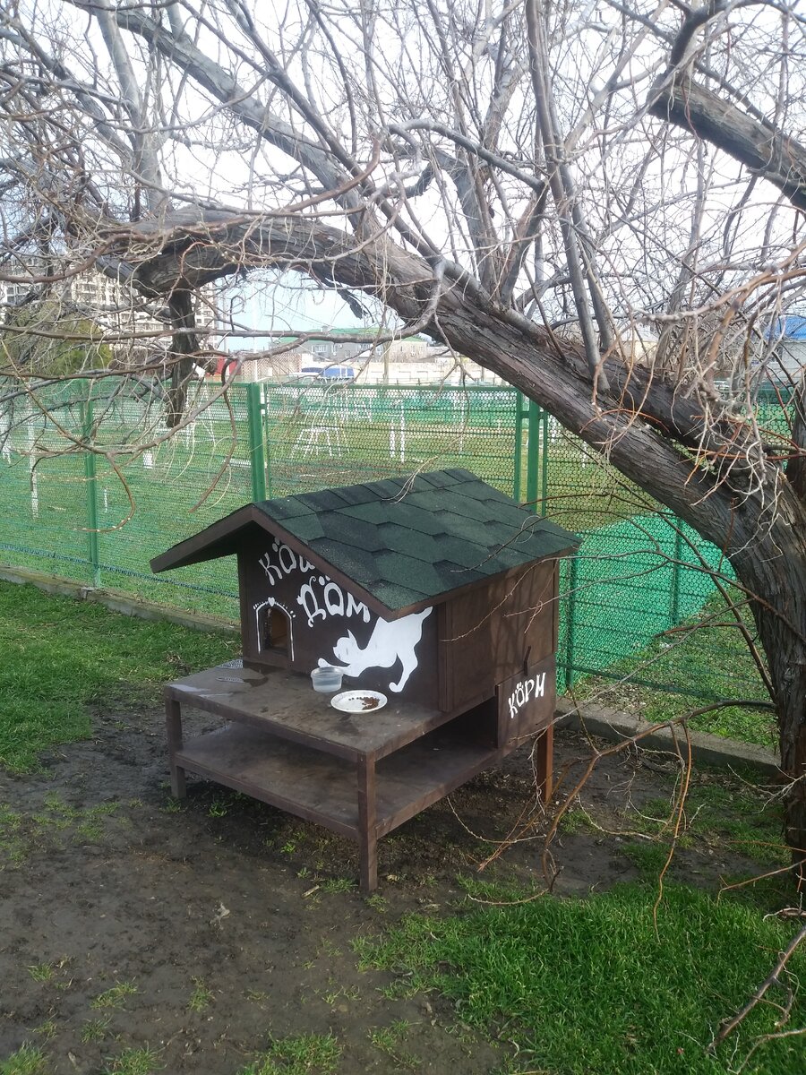 Кошкин дом в Анапе