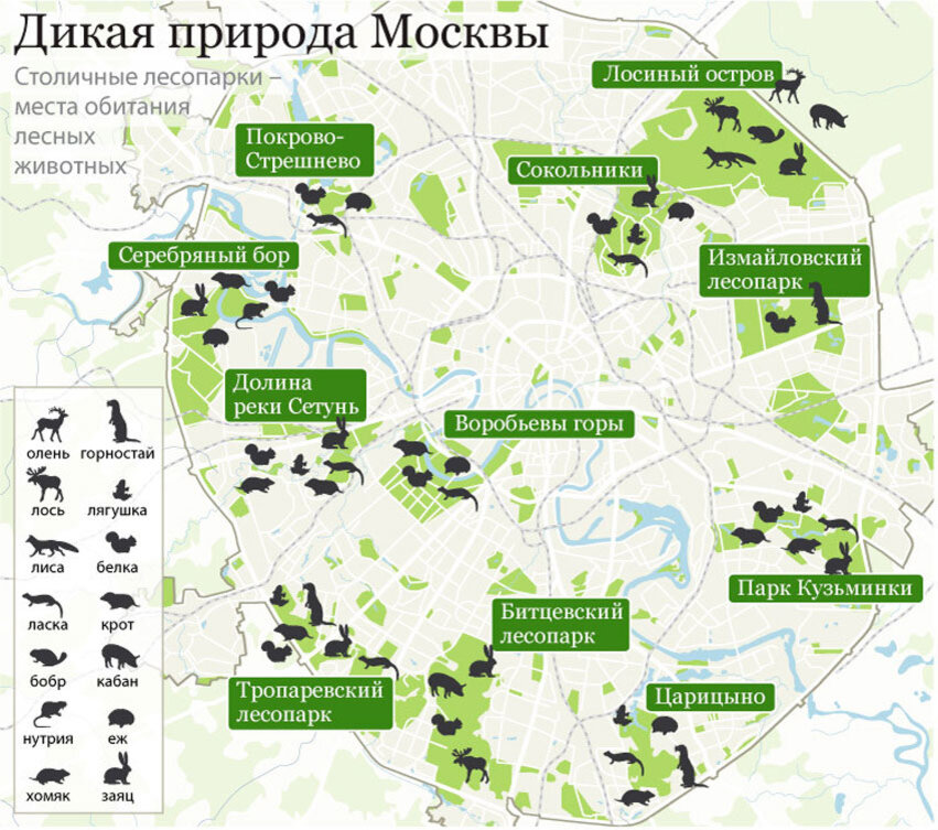 Карты московских парков